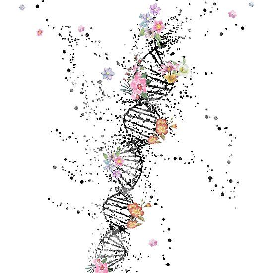 Mesélek … az első mérföldkő … cistas fibrosis